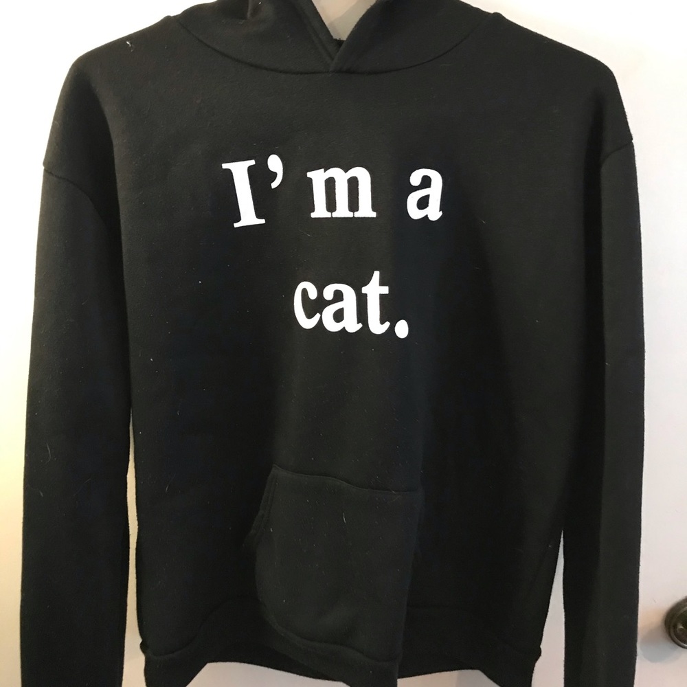 im a cat hoodie